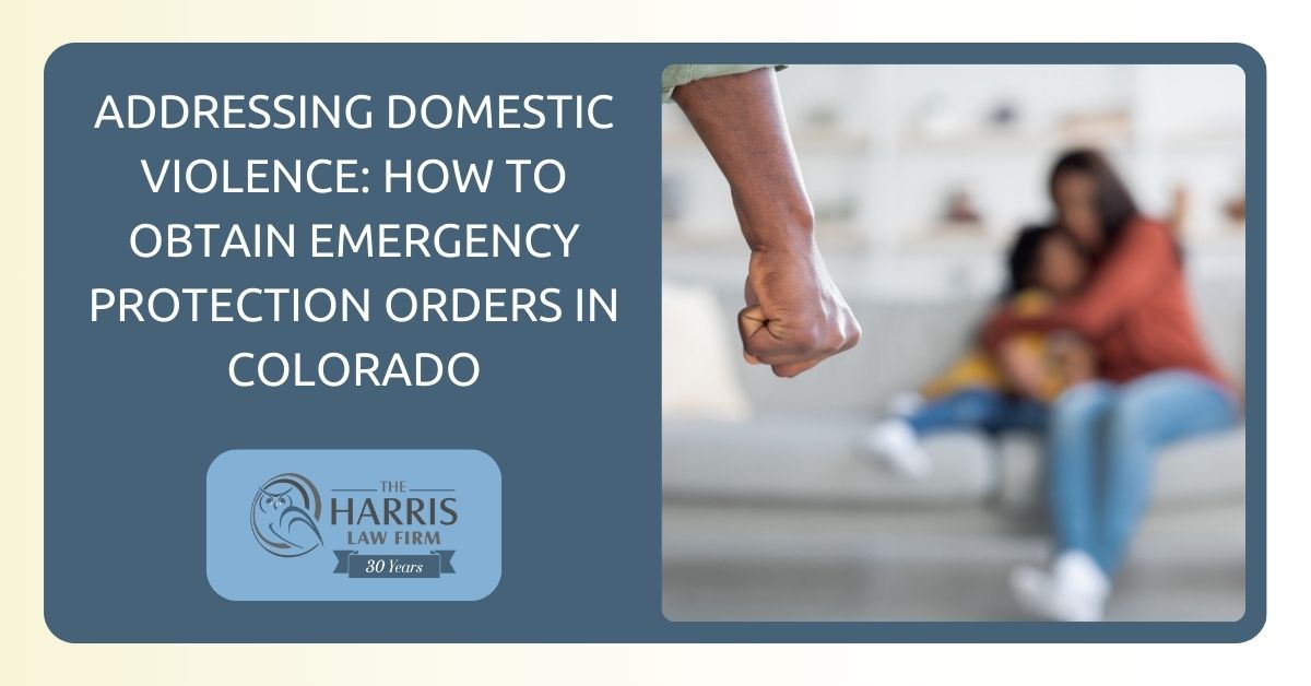 Addressing Domestic Violence: How to Obtain Emergency Protection Orders ...